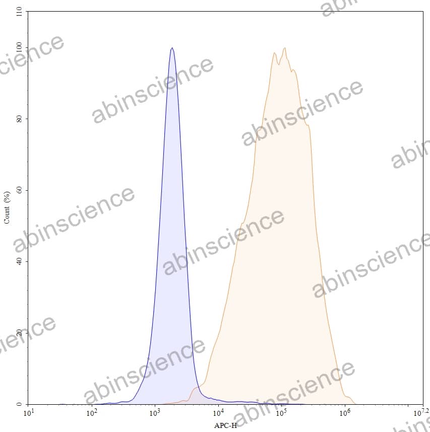 Anti-Human CD52 Antibody (SAA0023), APC