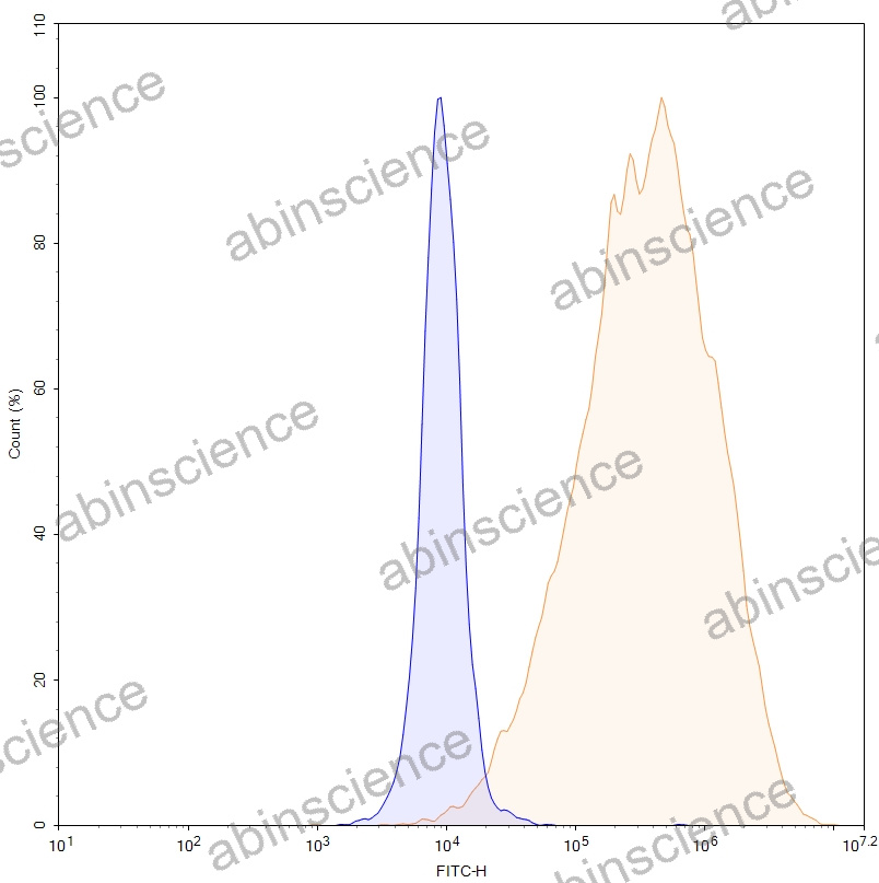 HEK293T Human CD52 Stable Cell Line
