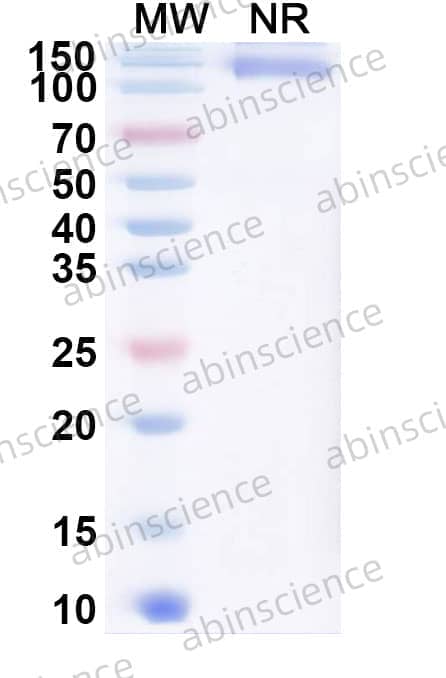 Research Grade Brivekimig
