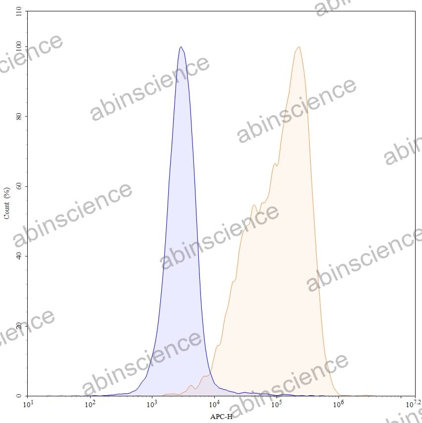 Anti-Human CD19 Antibody (FMC63), APC