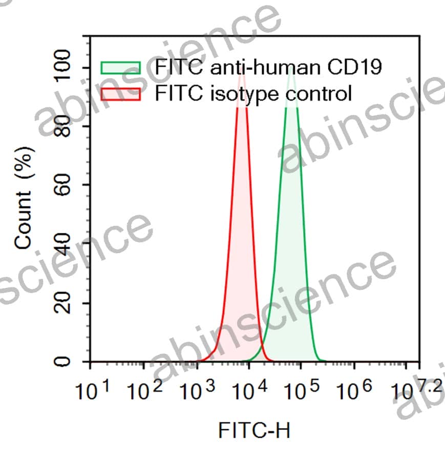 Anti-Human CD19 Antibody (SAA2206), FITC