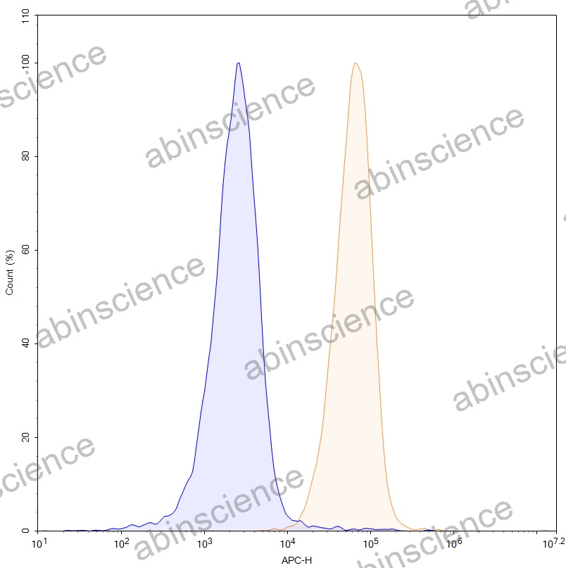 HEK293T Human ADGRE1/EMR1 Stable Cell Line
