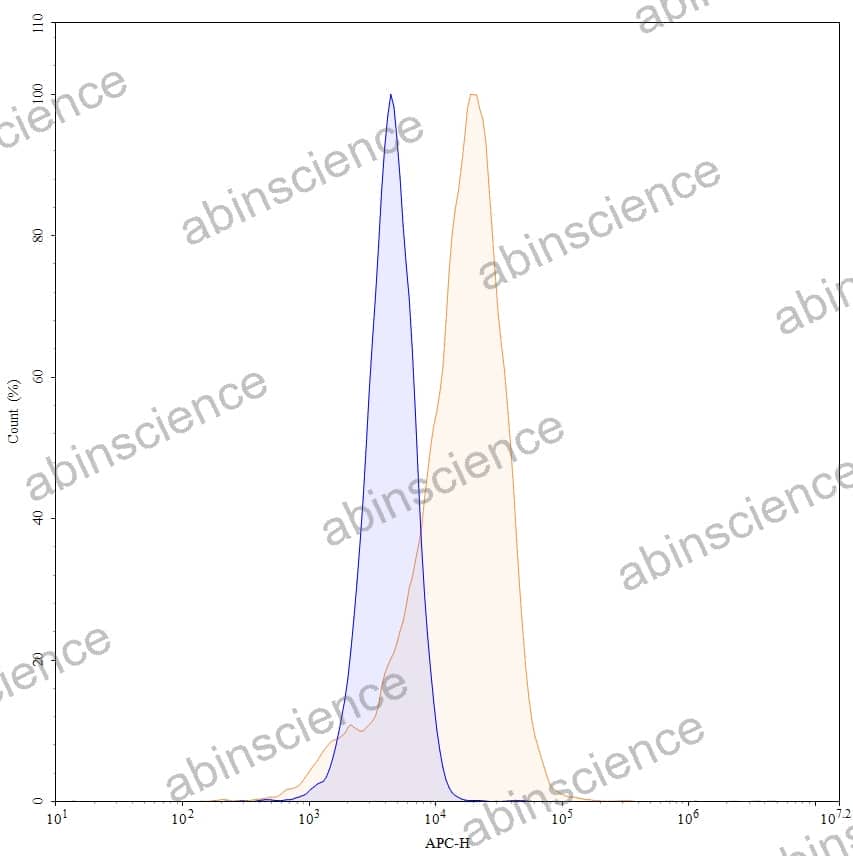 Anti-Human CD317/BST2 Antibody (HM1.24), APC