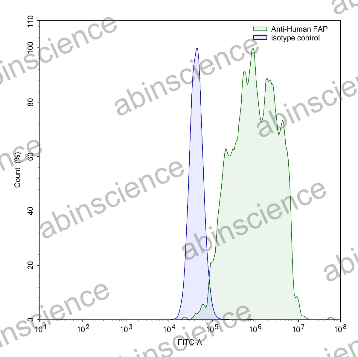 Anti-Human FAP/FAPalpha Recombinant Antibody (SAA2014)