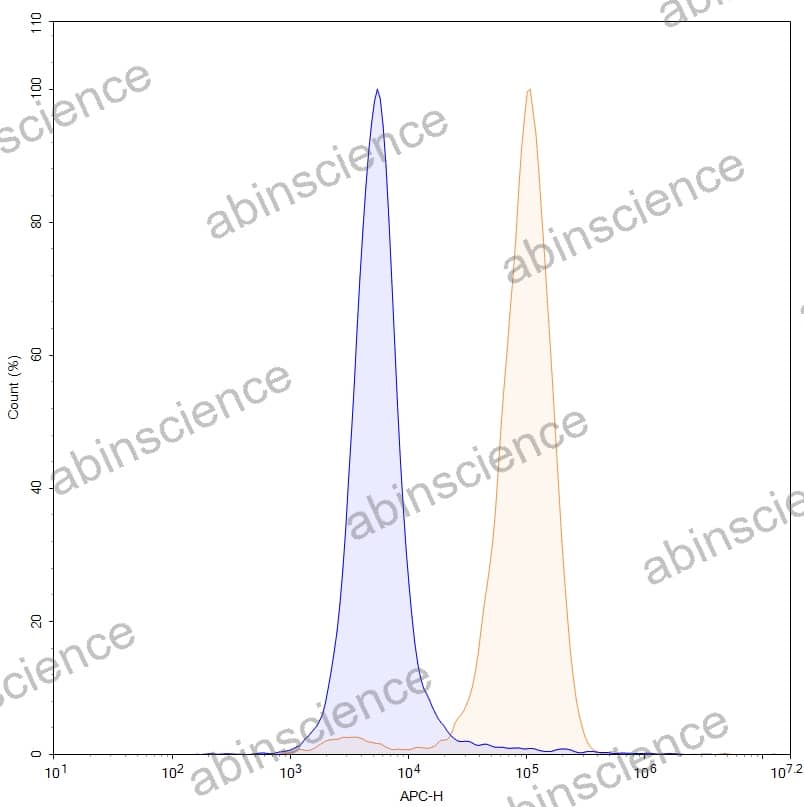 Anti-Human MSLN Antibody (SAA0146), APC
