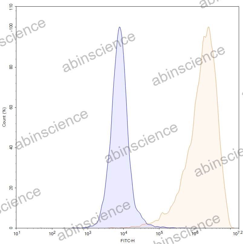 HEK293T Human MSLN/Mesothelin Stable Cell Line
