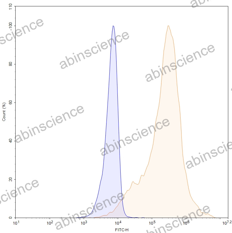 HEK293T Human CDH17/Cadherin-17 Stable Cell Line