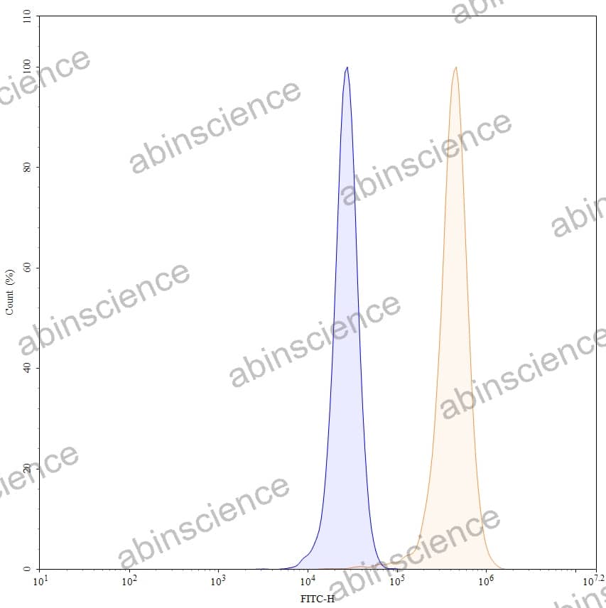 Research Grade Anti-Human IL11RA Antibody (LASN 01)