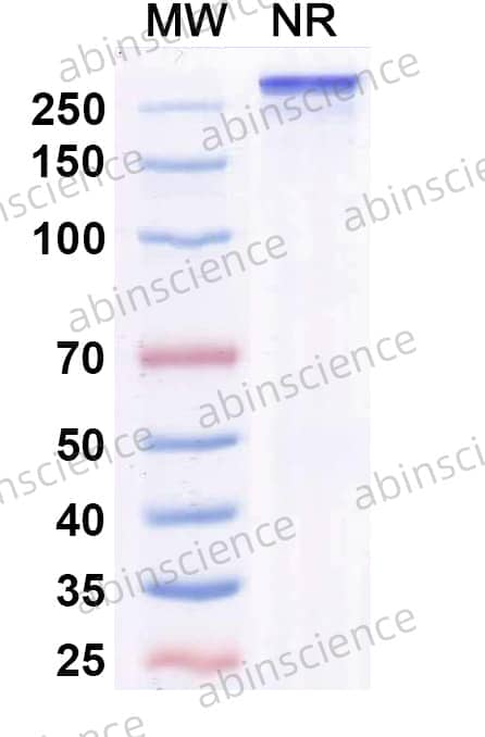 Research Grade Ficerafusp Alfa