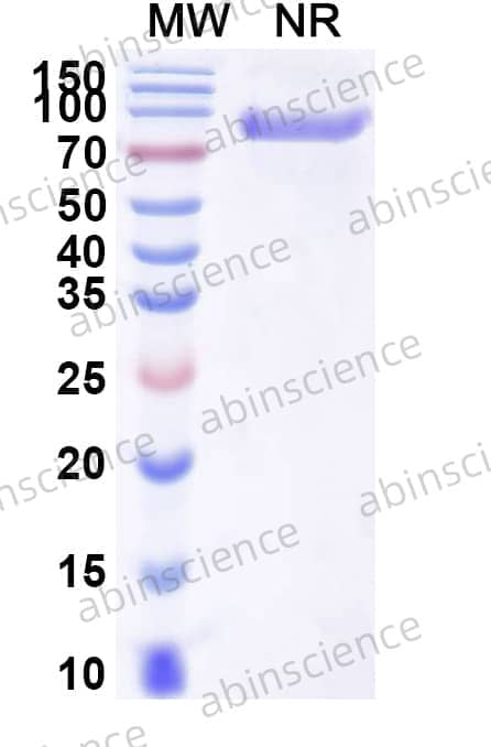 Research Grade Goflikicept