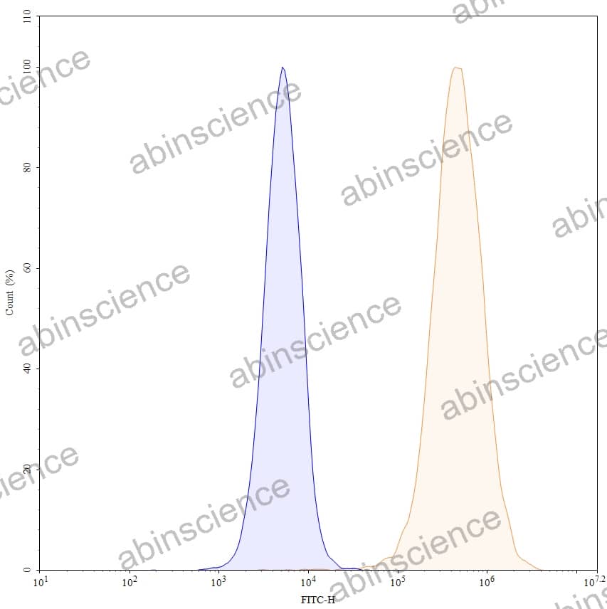 Anti-Human CD25/IL2RA Antibody (1H4), FITC