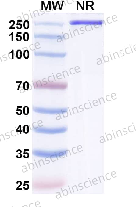 Research Grade Semzuvolimab