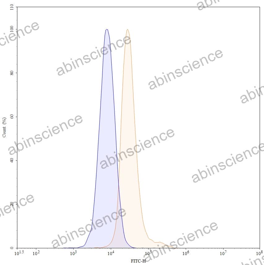 Anti-Human ROBO1 Recombinant Antibody (B5209B)