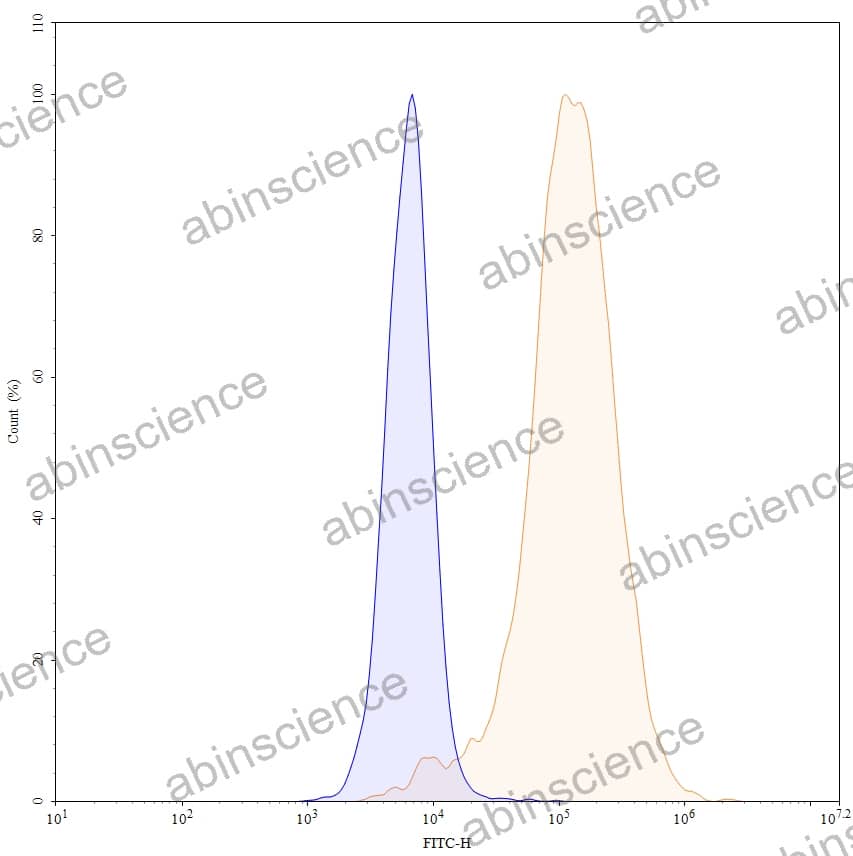 Anti-Human VSIG4/CRIg Antibody (SAA0775), FITC
