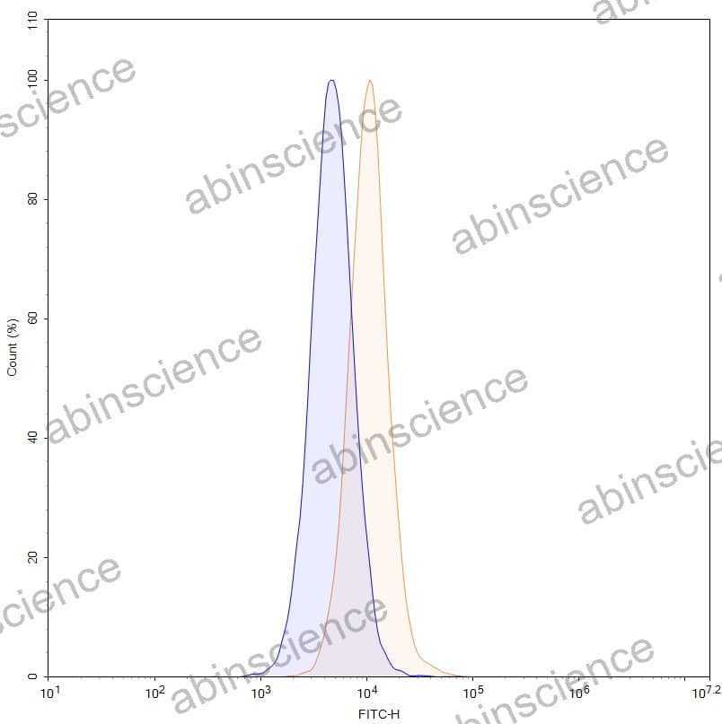 Anti-Human DLL3 Antibody (SAA0168), FITC