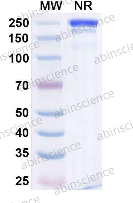 Research Grade Sabirnetug