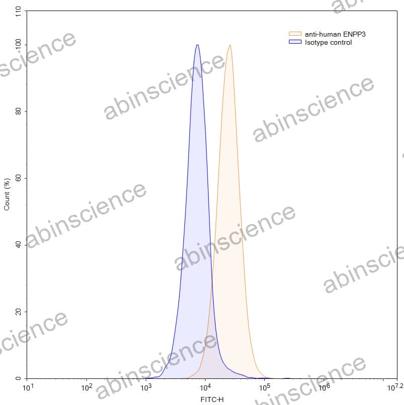 Research Grade Anti-Human CD203c/ENPP3 (AGS-16C3F)
