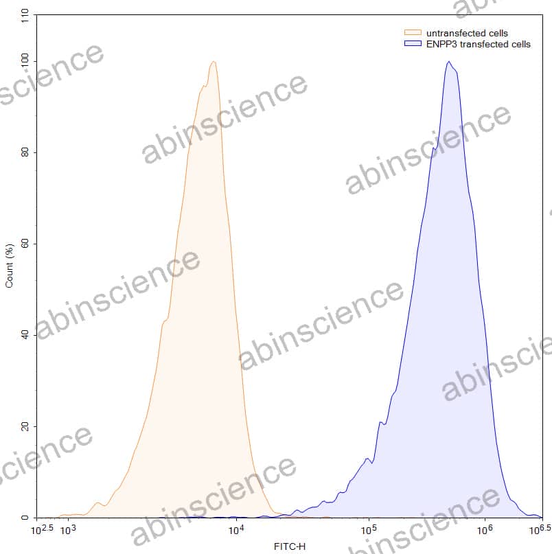 Research Grade Anti-Human CD203c/ENPP3 (AGS-16C3F)