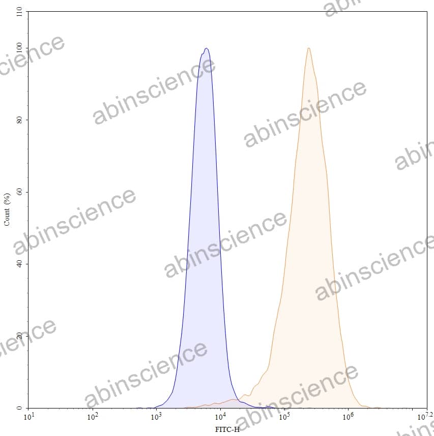 Research Grade Anti-Human CD272/BTLA (ANB032)