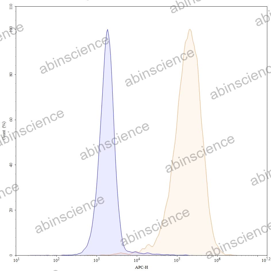 Anti-Human CD272/BTLA Antibody (SAA0087), APC