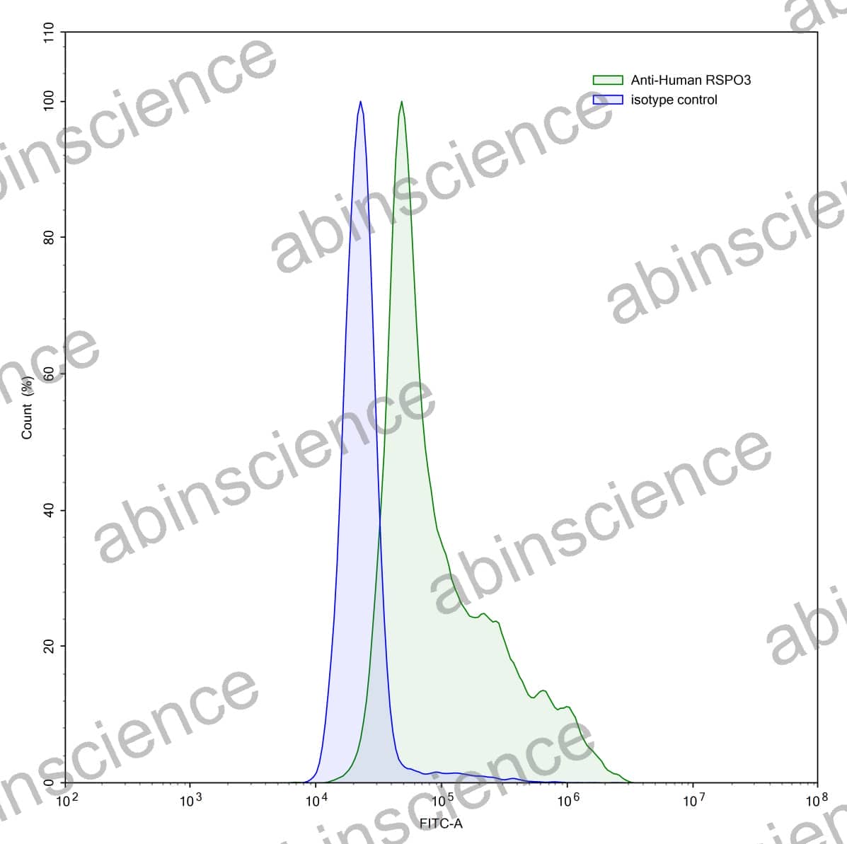 InVivoMAb Anti-Human RSPO3 Antibody (Iv0181)