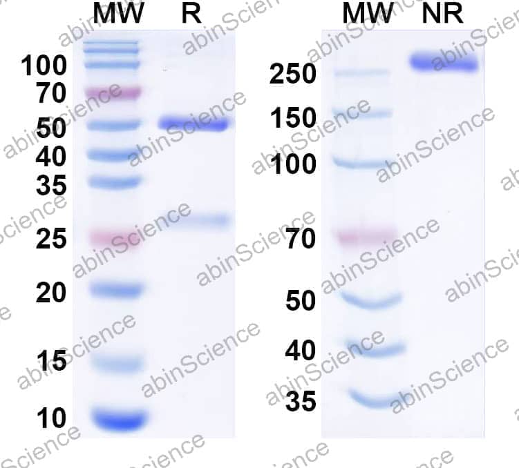 Research Grade ubletamig