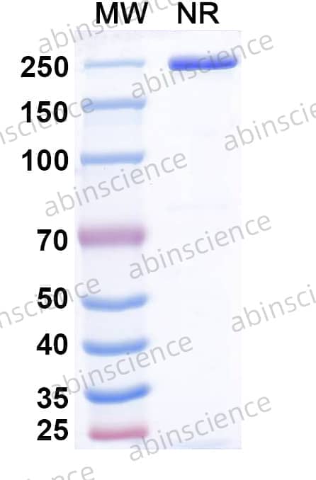 Research Grade Emiltatug
