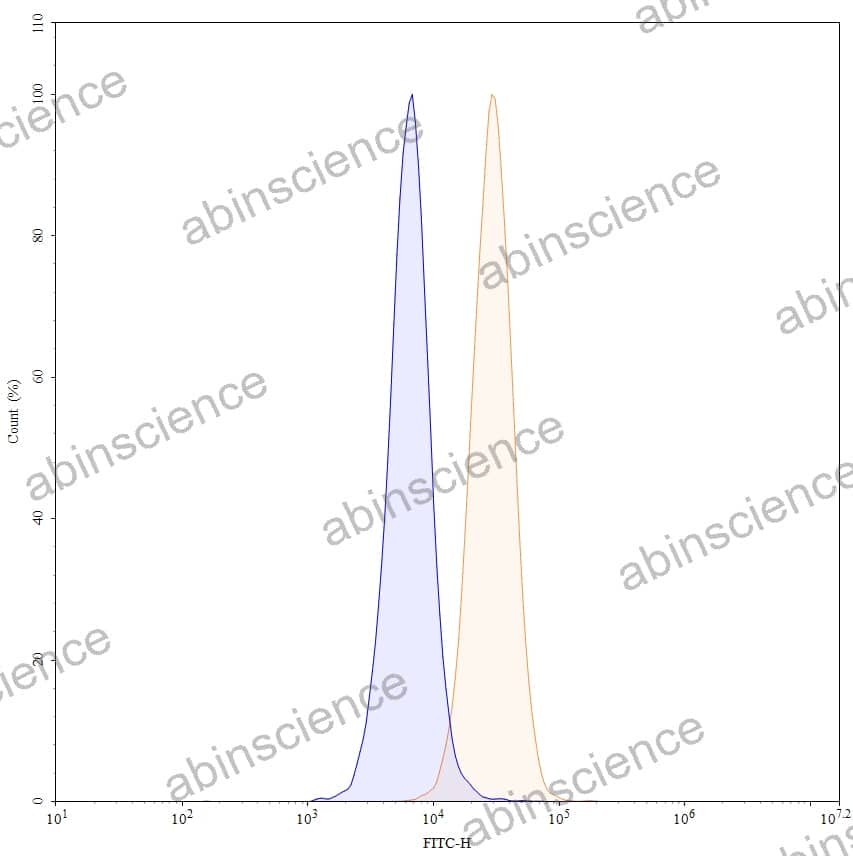 Anti-Human CD274/PD-L1/B7-H1 Antibody (22C3), FITC