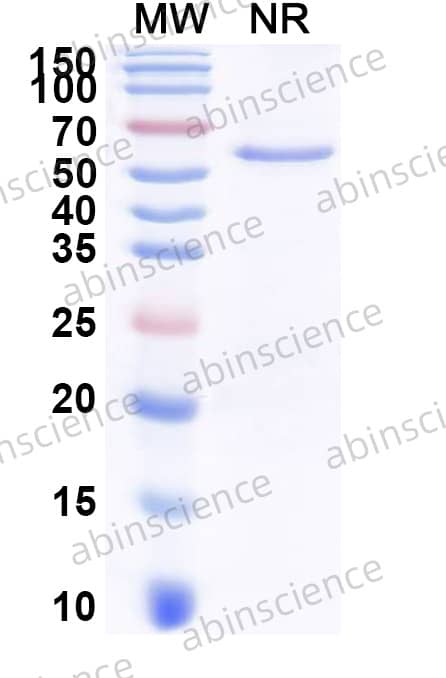 Research Grade Cemavafusp