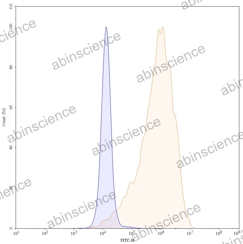 Anti-Human NECTIN4/PVRL4 Antibody (Nec4.05)