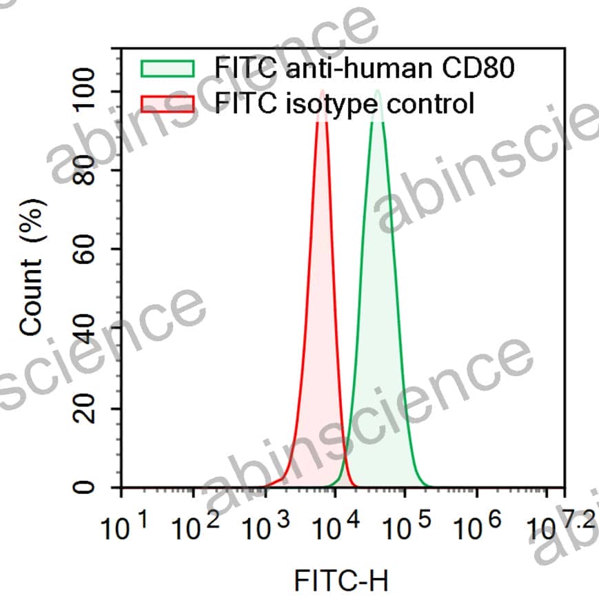 Anti-Human CD80/B7-1 Antibody (SAA2207), FITC