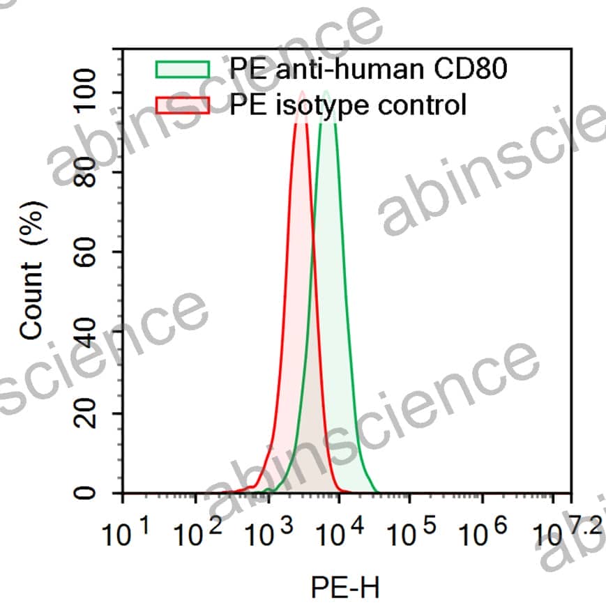 Anti-Human CD80/B7-1 Antibody (SAA2207), PE