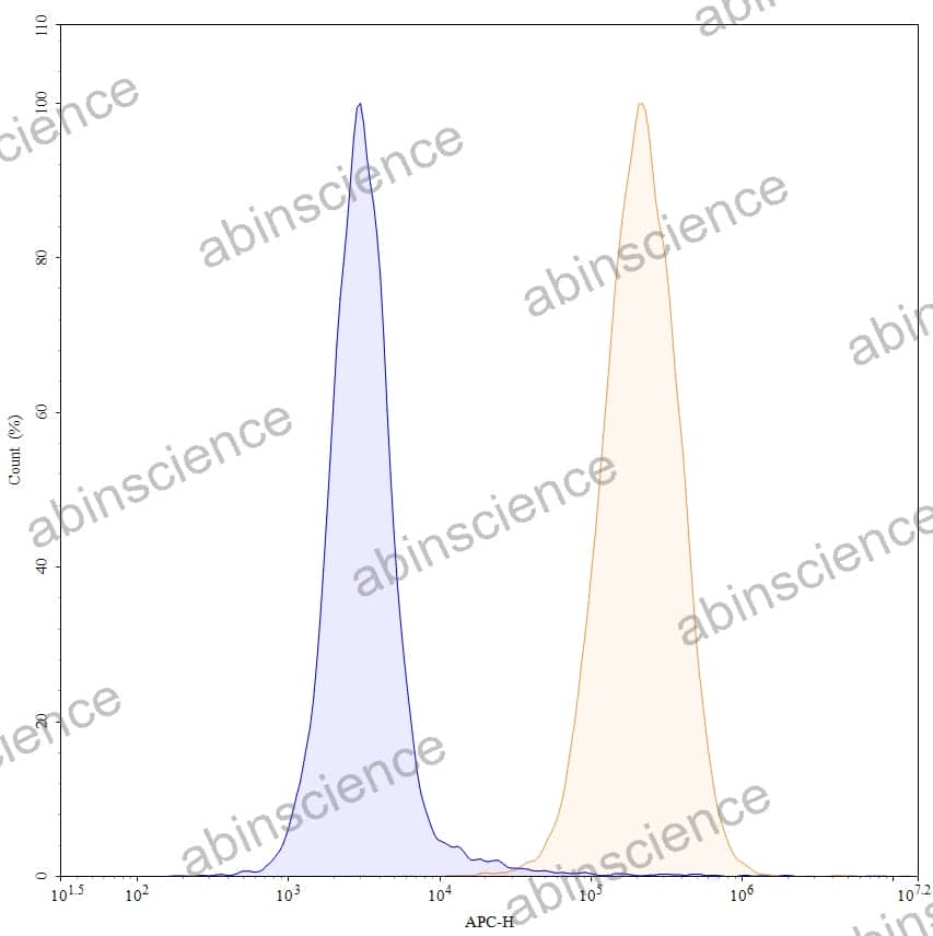 Anti-Human CD86/B7-2 Antibody (SAA1397), APC