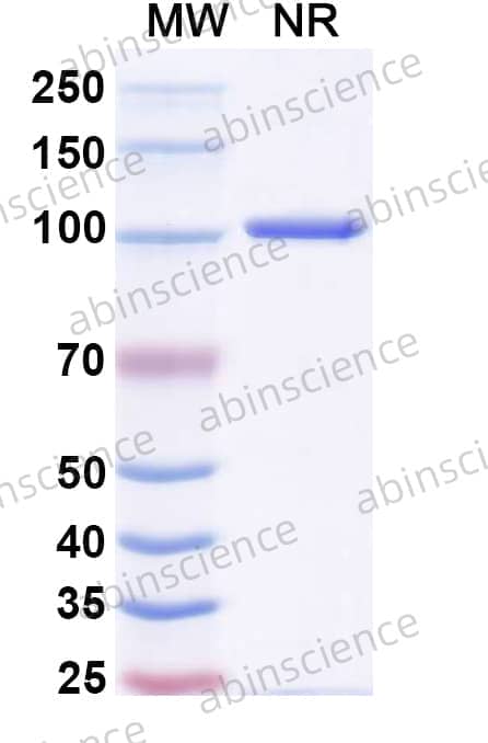Research Grade Emirodatamab