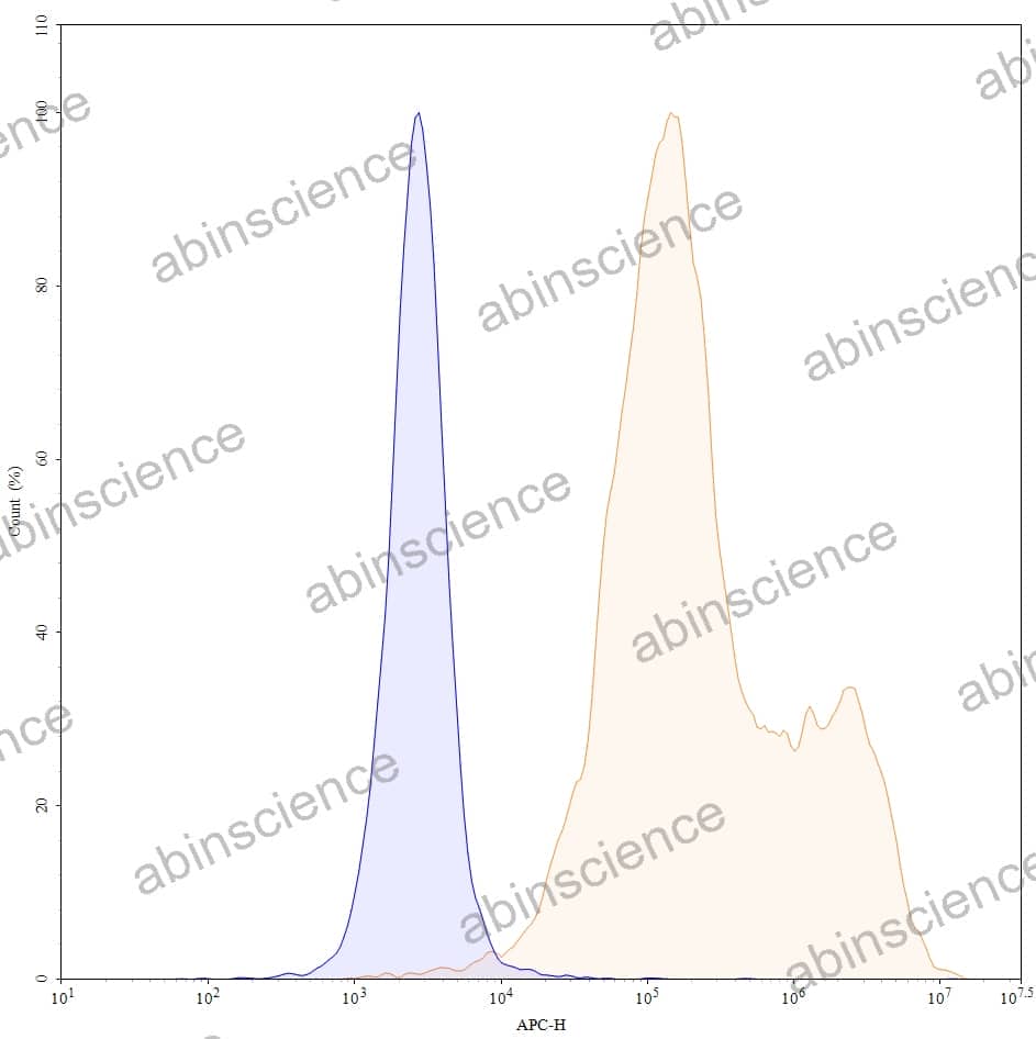 Anti-Human CLDN18.2 Antibody (SAA0138)