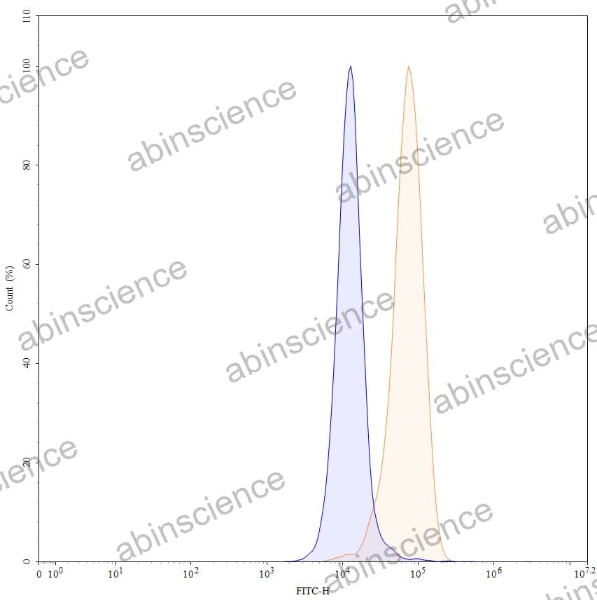Anti-Human CD184/CXCR4 Antibody (SAA0067), FITC