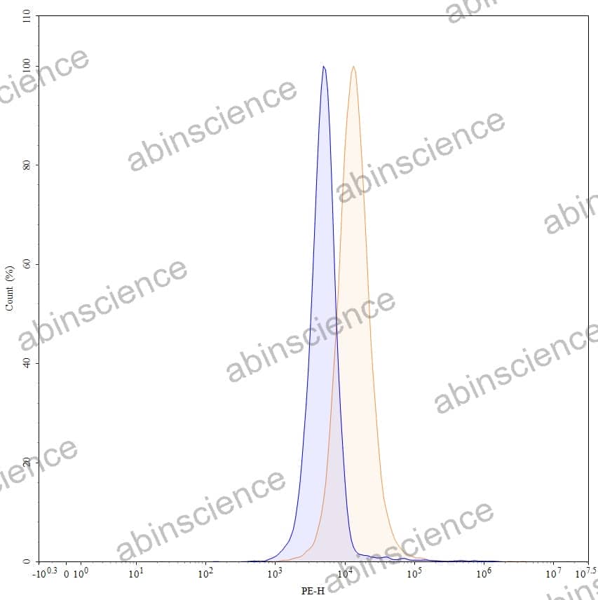 Anti-Human CD184/CXCR4 Antibody (SAA0067), PE