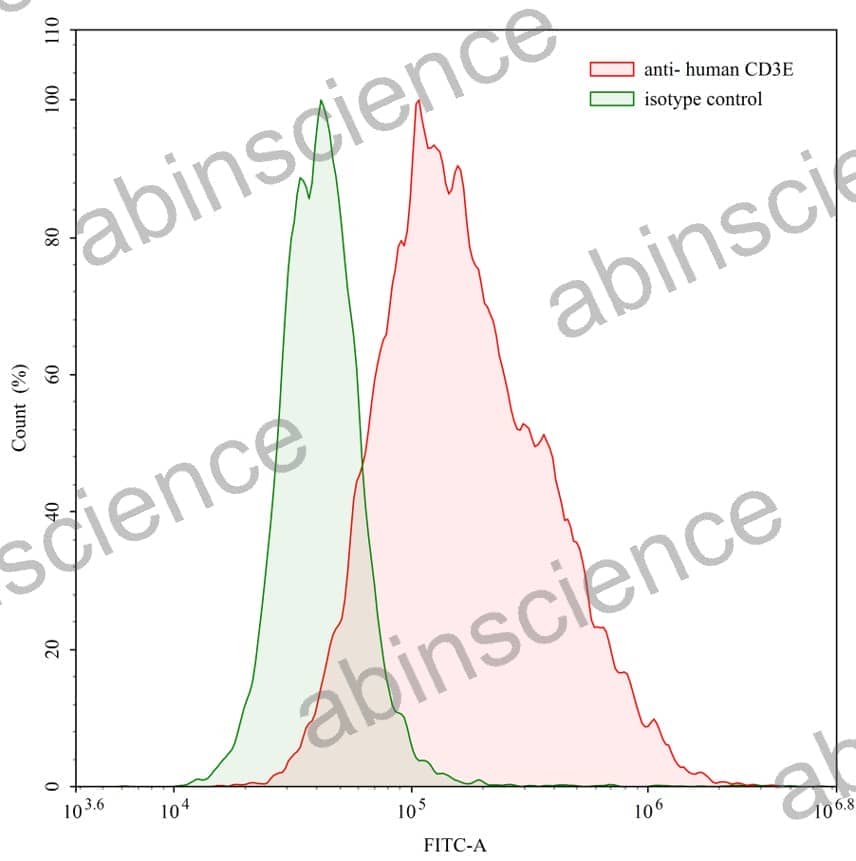 Anti-Human CD3E Antibody (OKT3)