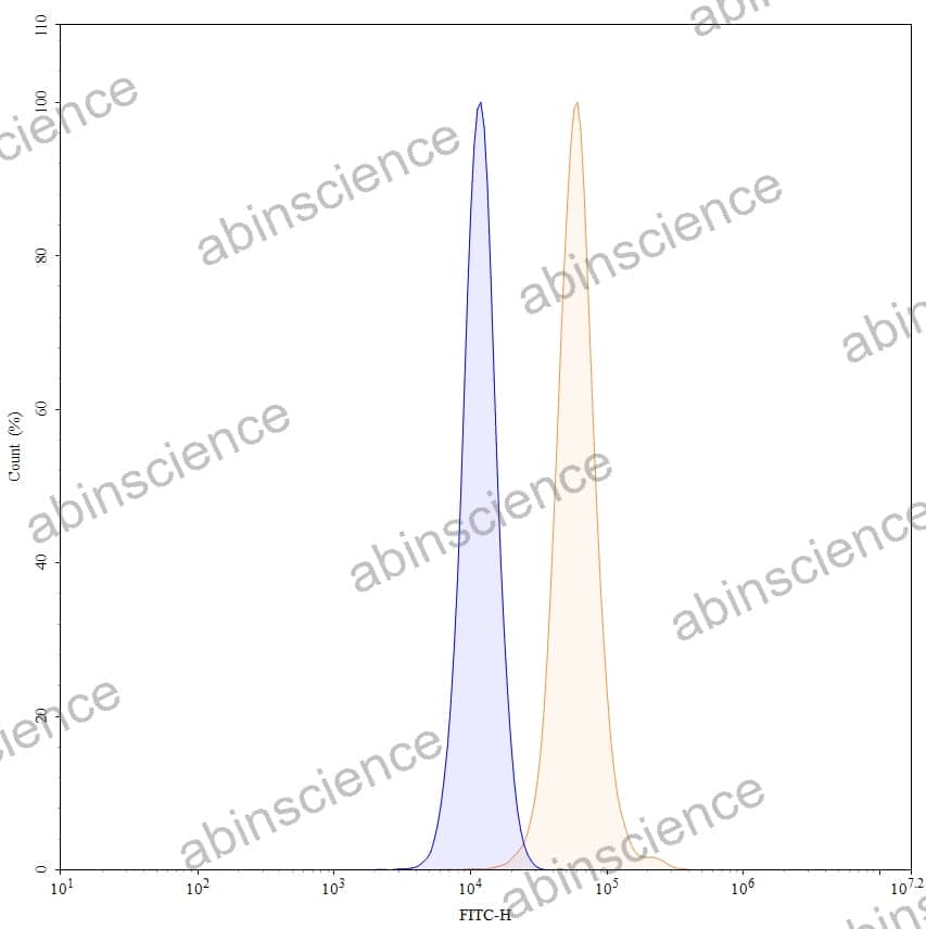 Research Grade Anti-Human MAPT/Tau/PHF-tau (PNT001)