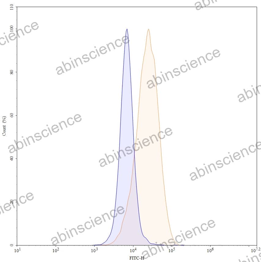 Anti-Human CD117/KIT Antibody (SAA0043), FITC