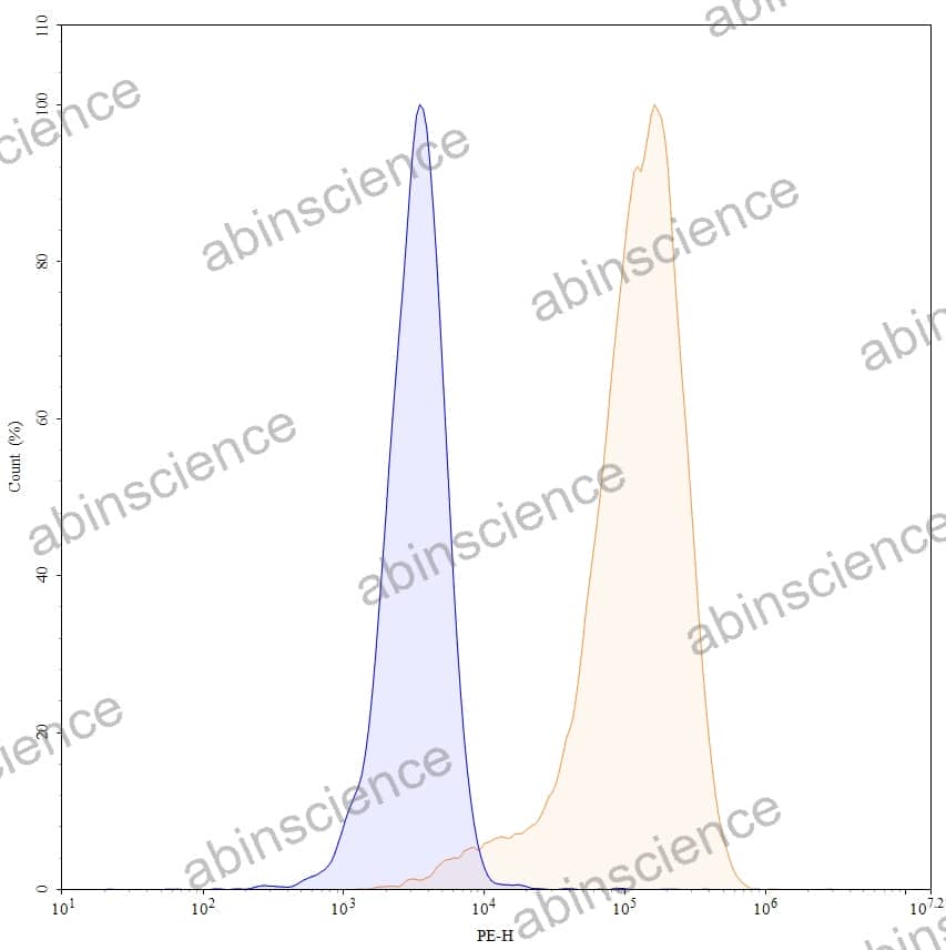 Anti-Human CD117/KIT Antibody (SAA0043), PE