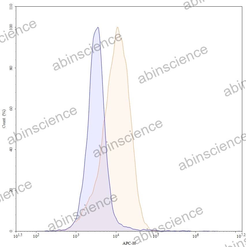 Anti-Human CD117/KIT Antibody (SAA0043), APC