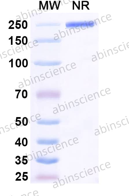Research Grade Depemokimab