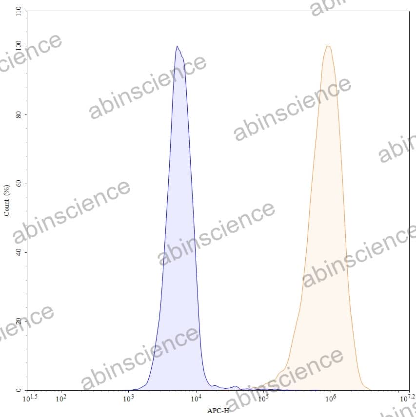 Anti-Human CD340/ERBB2/HER2 Antibody (4D5V8), PE