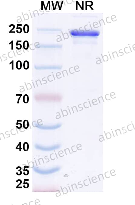 Research Grade Calotatug