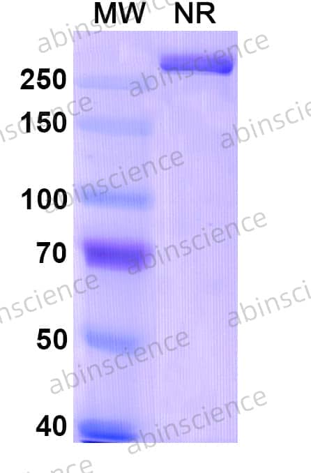 Research Grade MOR101
