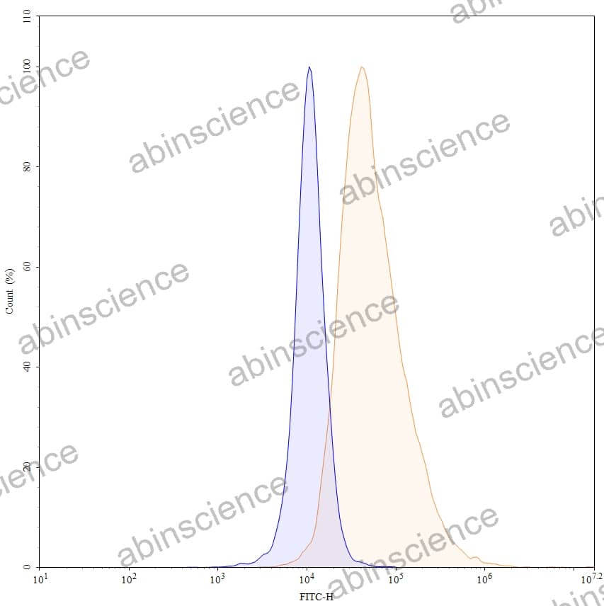 Anti-Human CD16a/FCGR3A Antibody (NM3E2), FITC