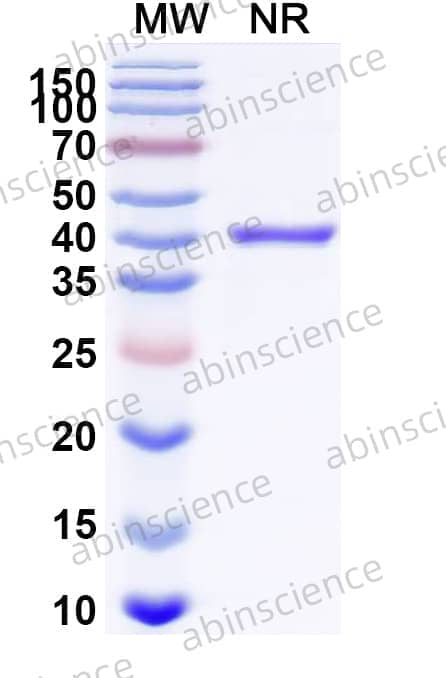 Research Grade Pegrizeprument