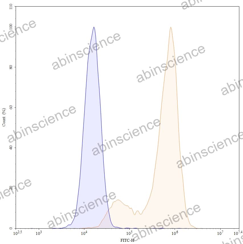 Anti-Human CD66e/CEA/CEACAM5 Antibody (MN14), FITC