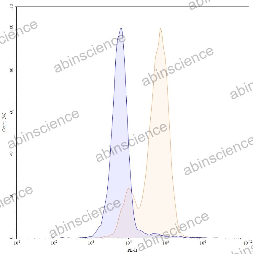 Anti-Human CD66e/CEA/CEACAM5 Antibody (MN14), PE